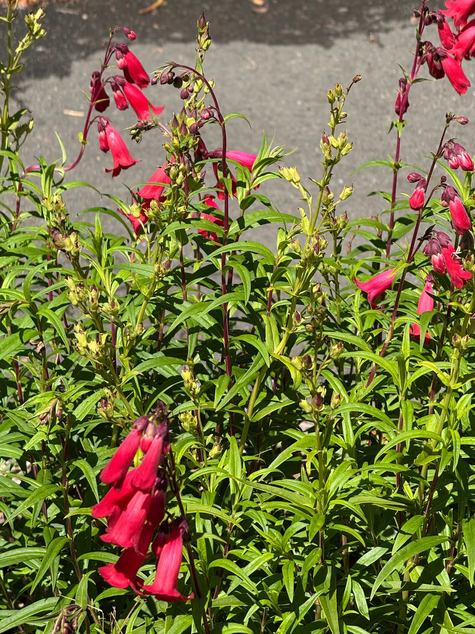 WELLINGTON, NEW ZEALAND