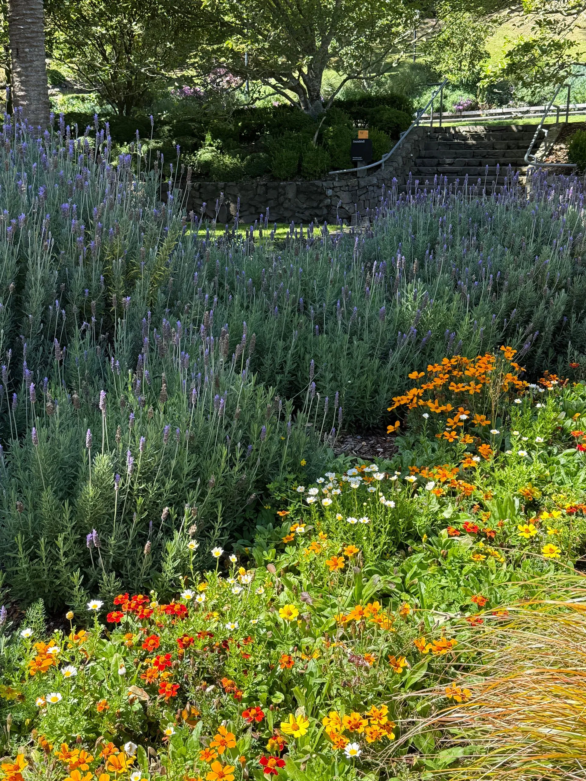 WELLINGTON, NEW ZEALAND