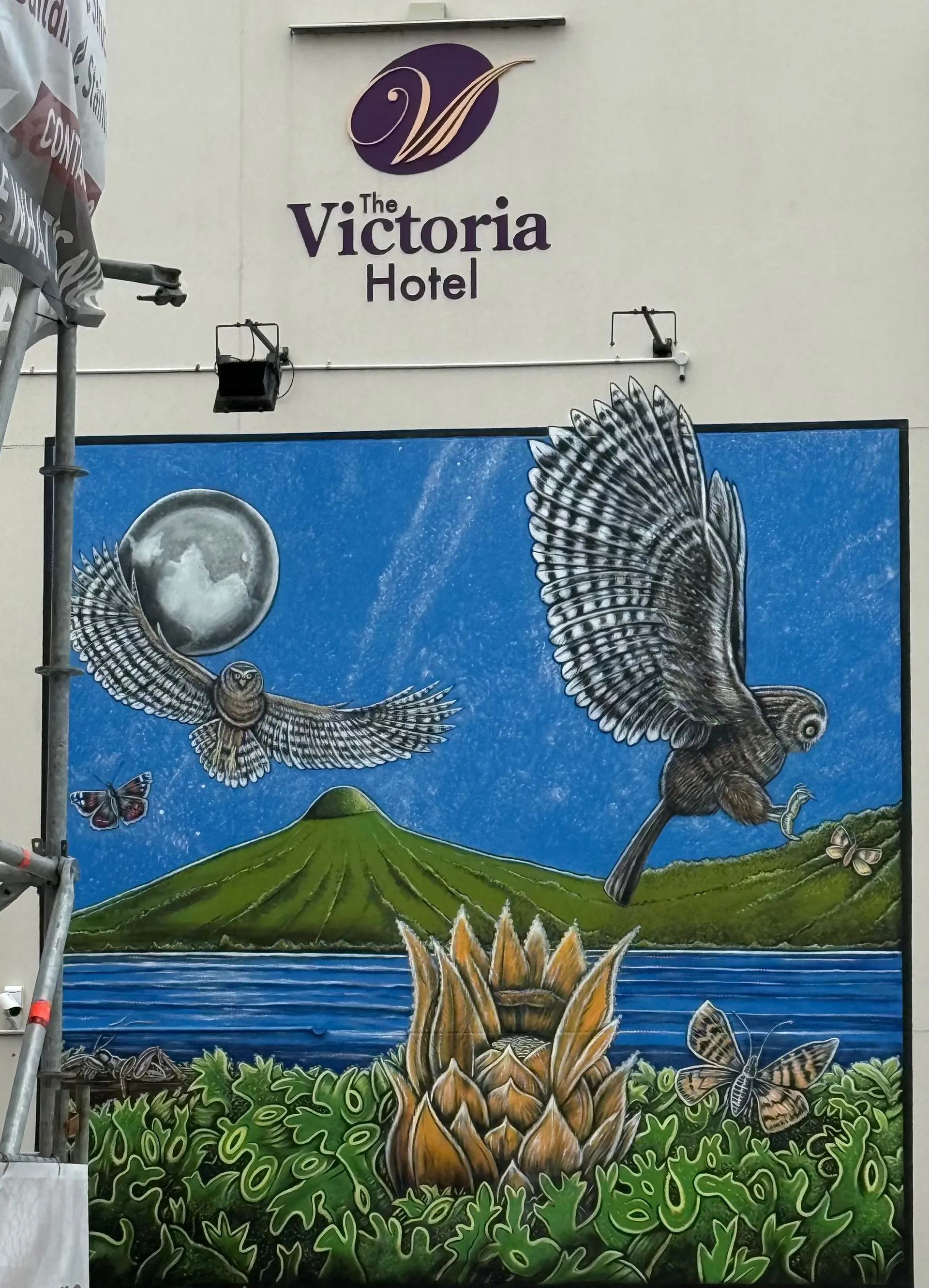 DUNEDIN, NEW ZEALAND