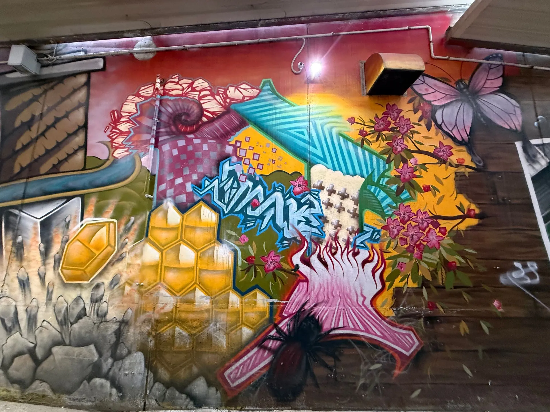 DUNEDIN, NEW ZEALAND