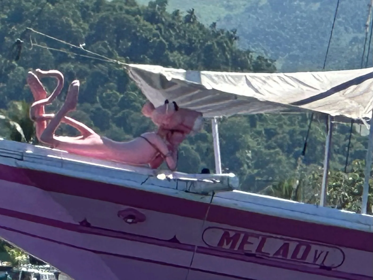 DUNEDIN, NEW ZEALAND