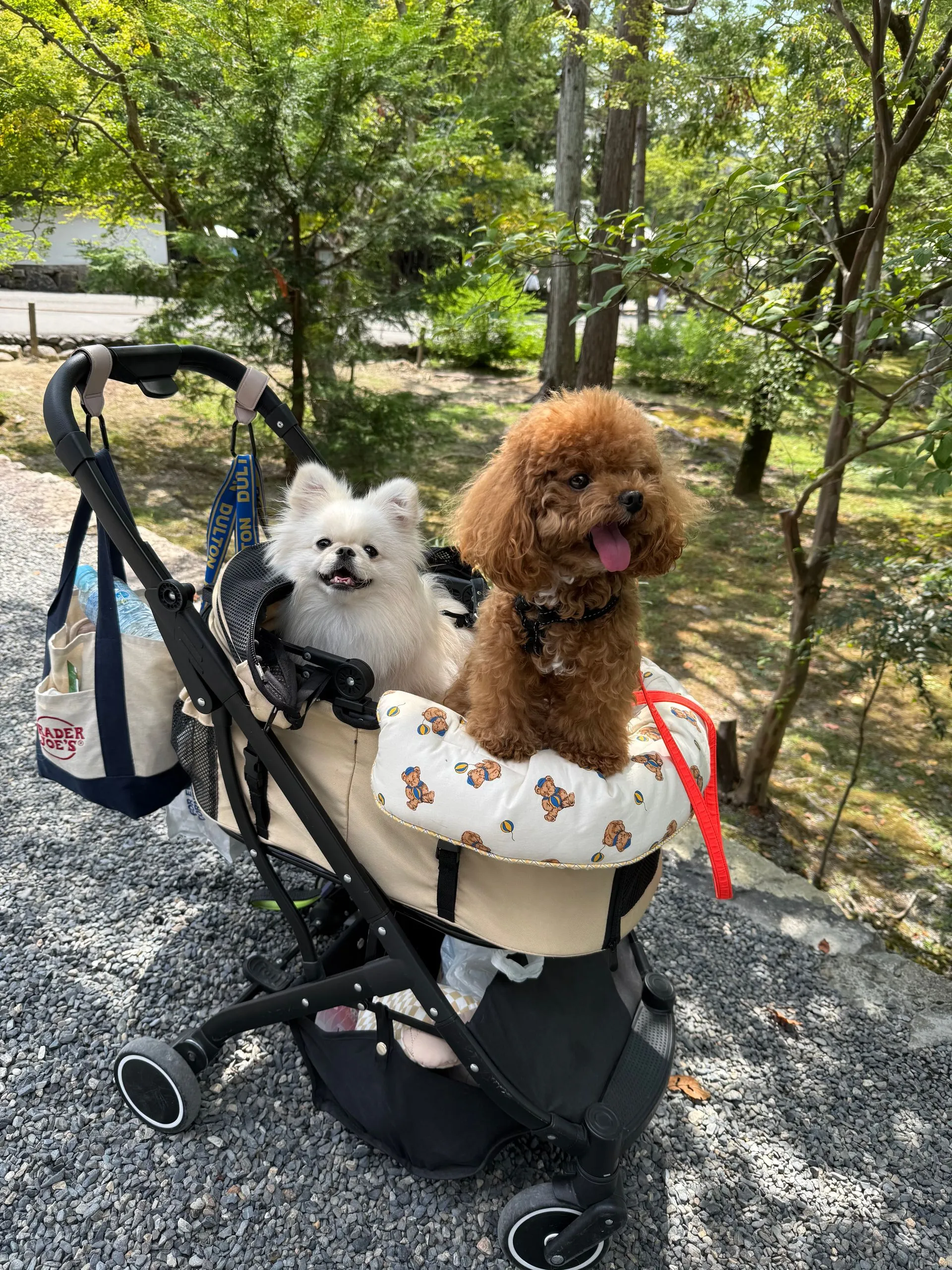 KYOTO, JAPAN - DAY 2 Continued