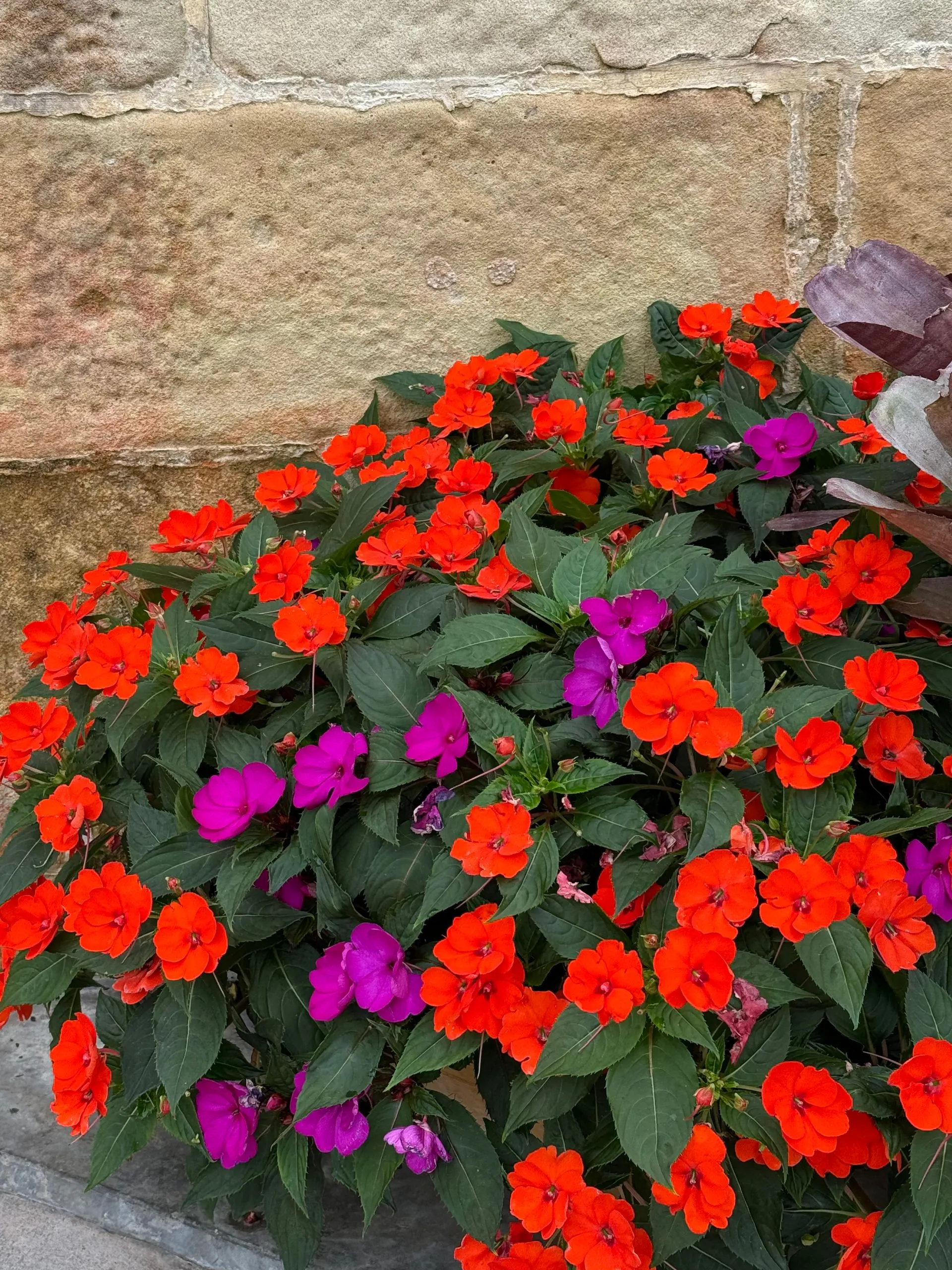 HOBART, TASMANIA, AUSTRALIA