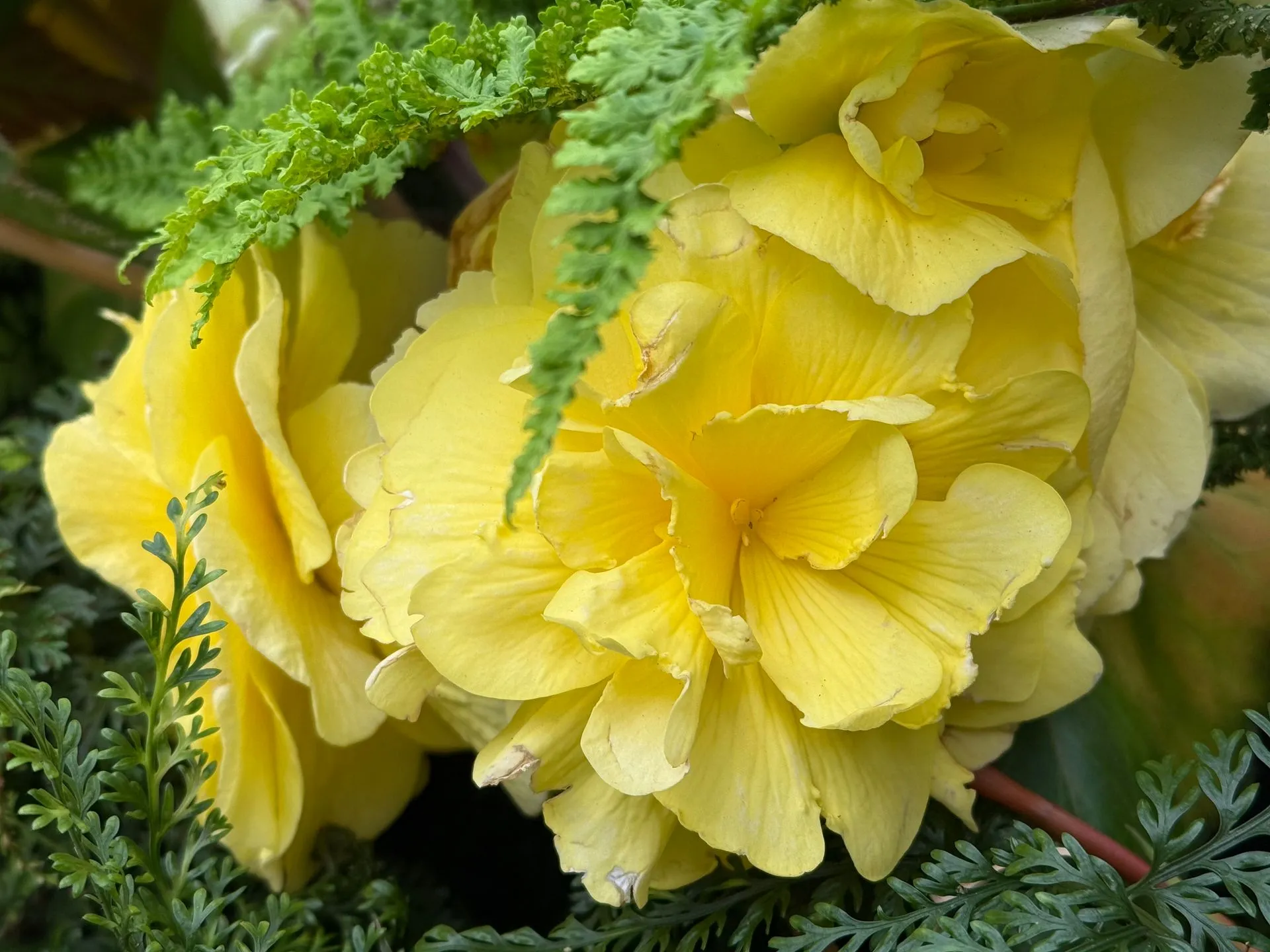 HOBART, TASMANIA, AUSTRALIA