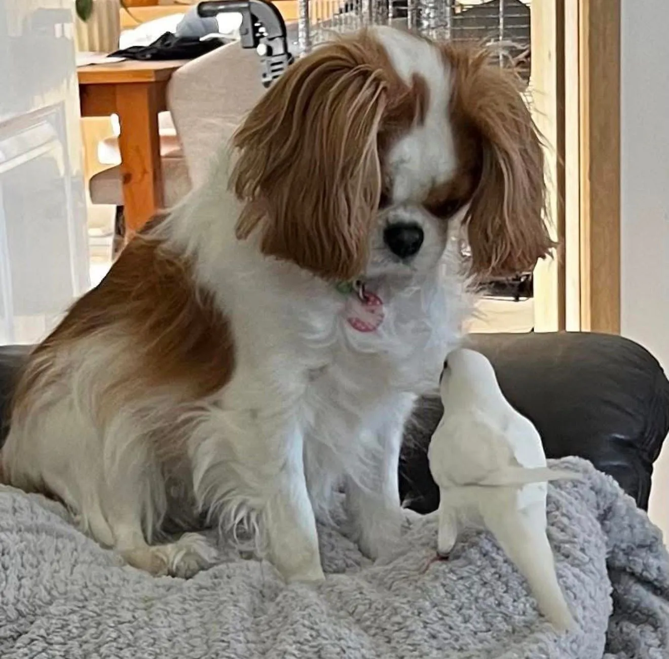 MELBOURNE, AUSTRALIA