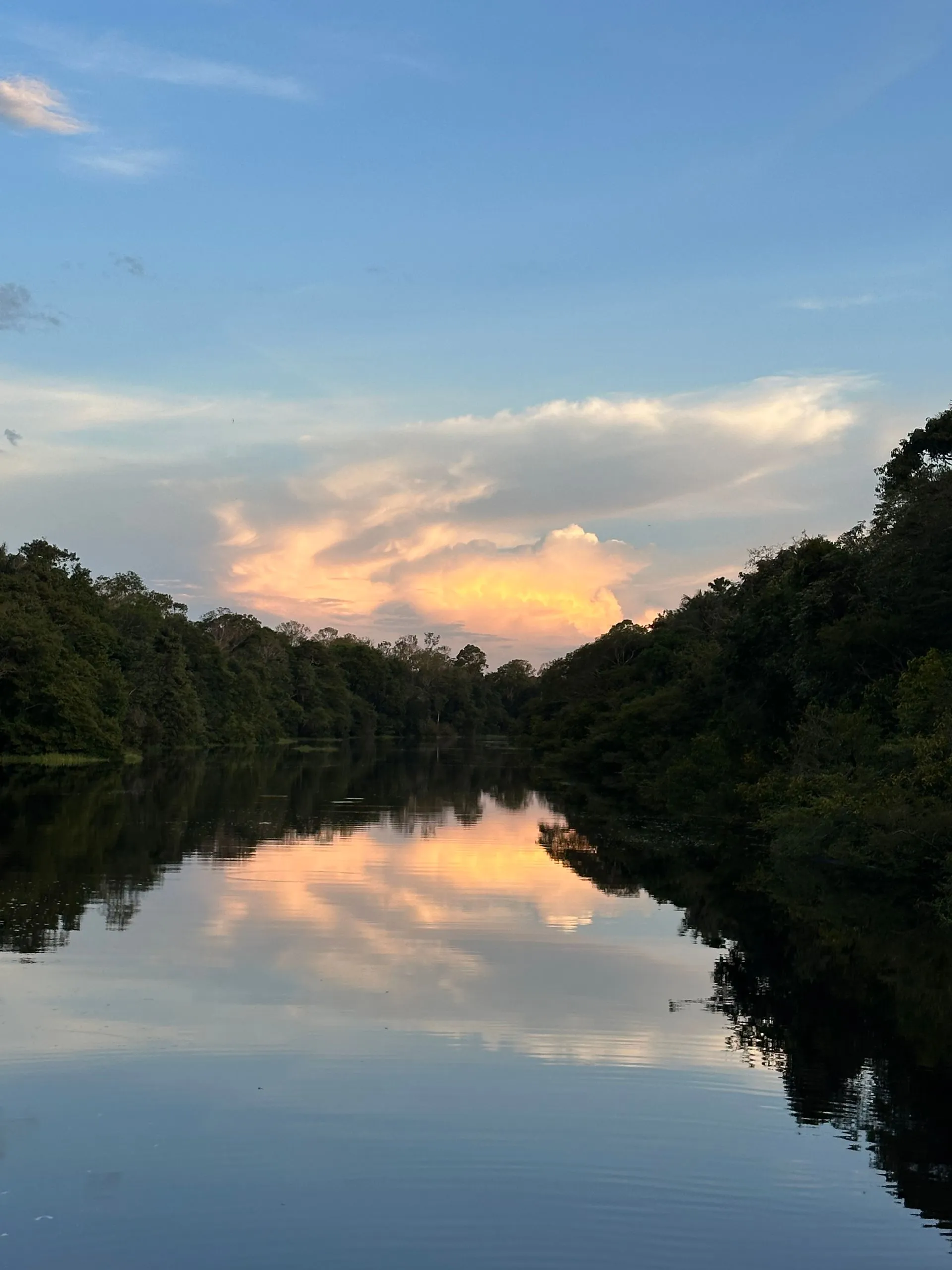 RIO NEGRO, AMAZON RAINFOREST, BRAZIL