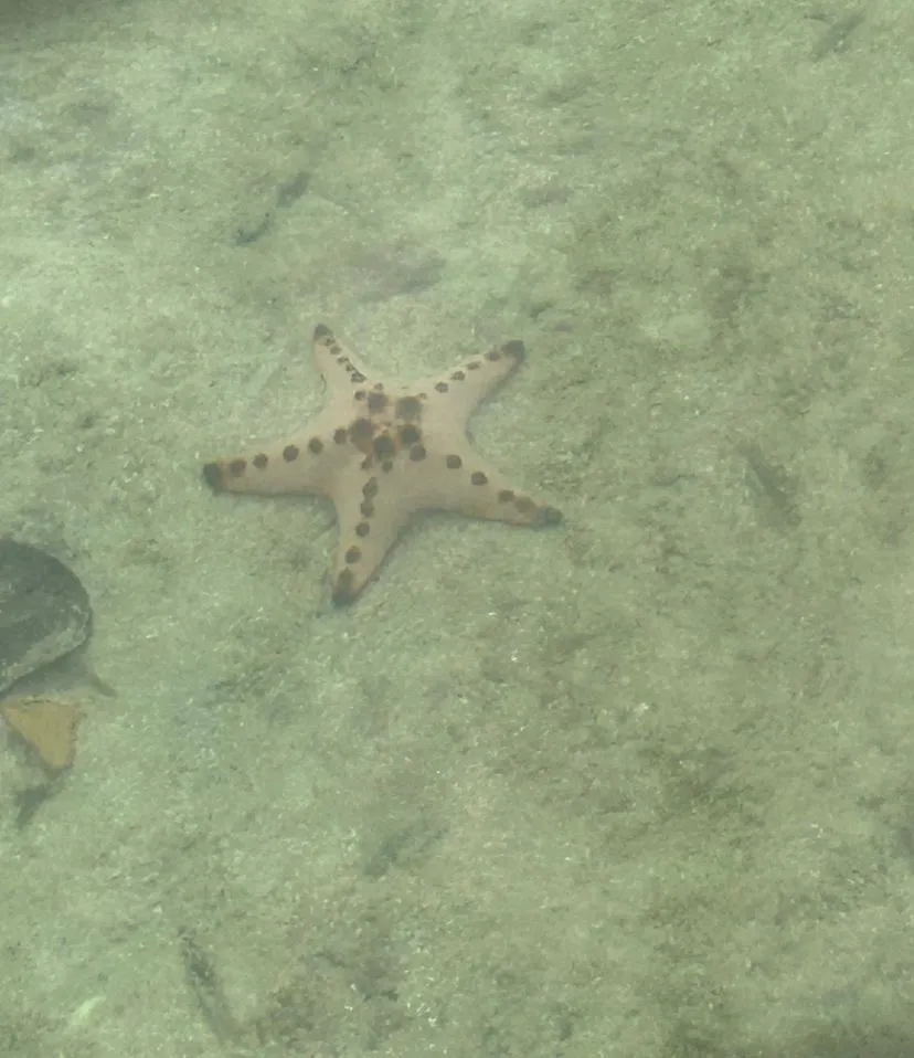 Palawan, Honda Bay, Philippines