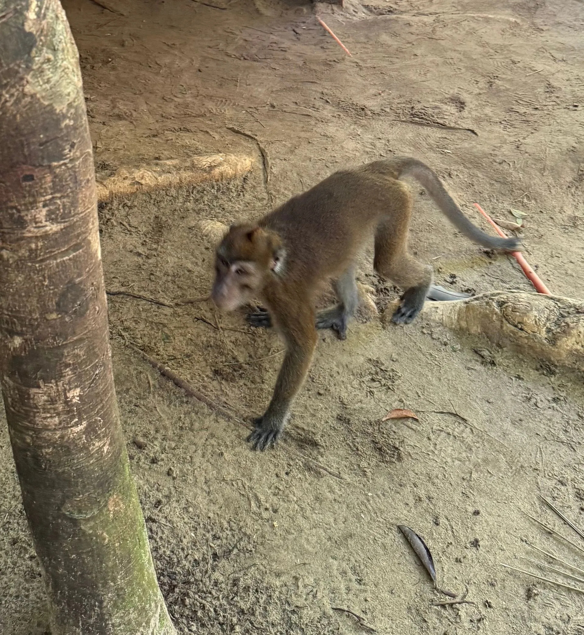 PUERTO PRINCESA, PALAWAN, PHILIPPINES