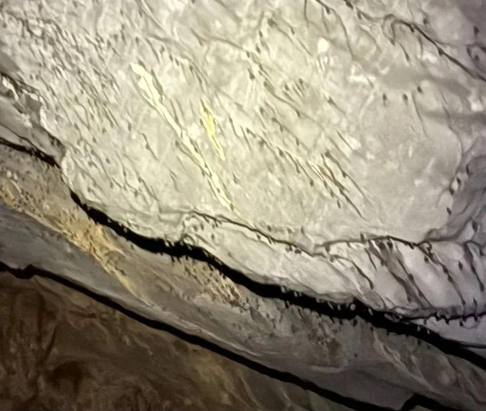 PUERTO PRINCESA, PALAWAN, PHILIPPINES