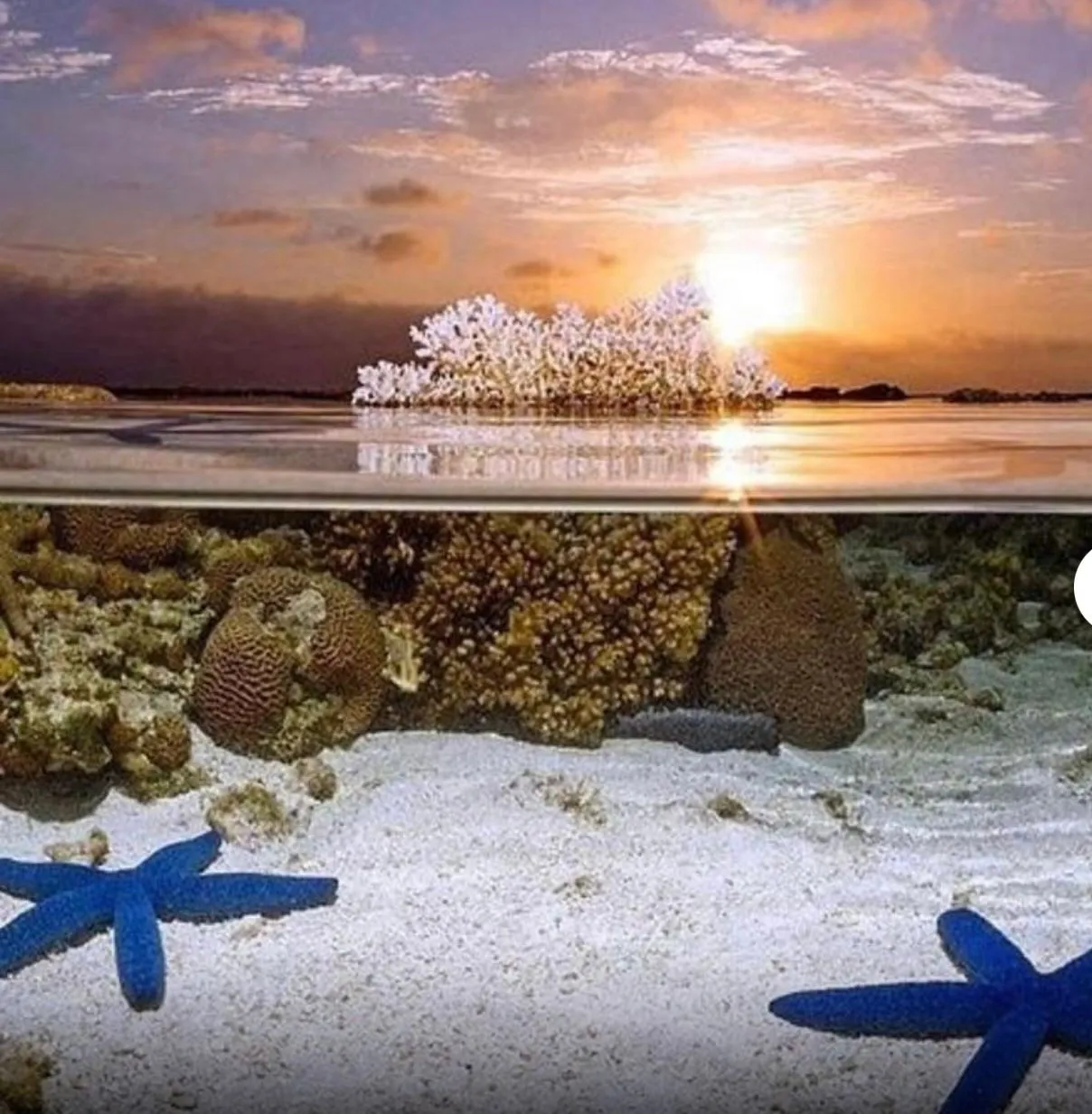 BUNAKEN ISLAND, INDONESIA