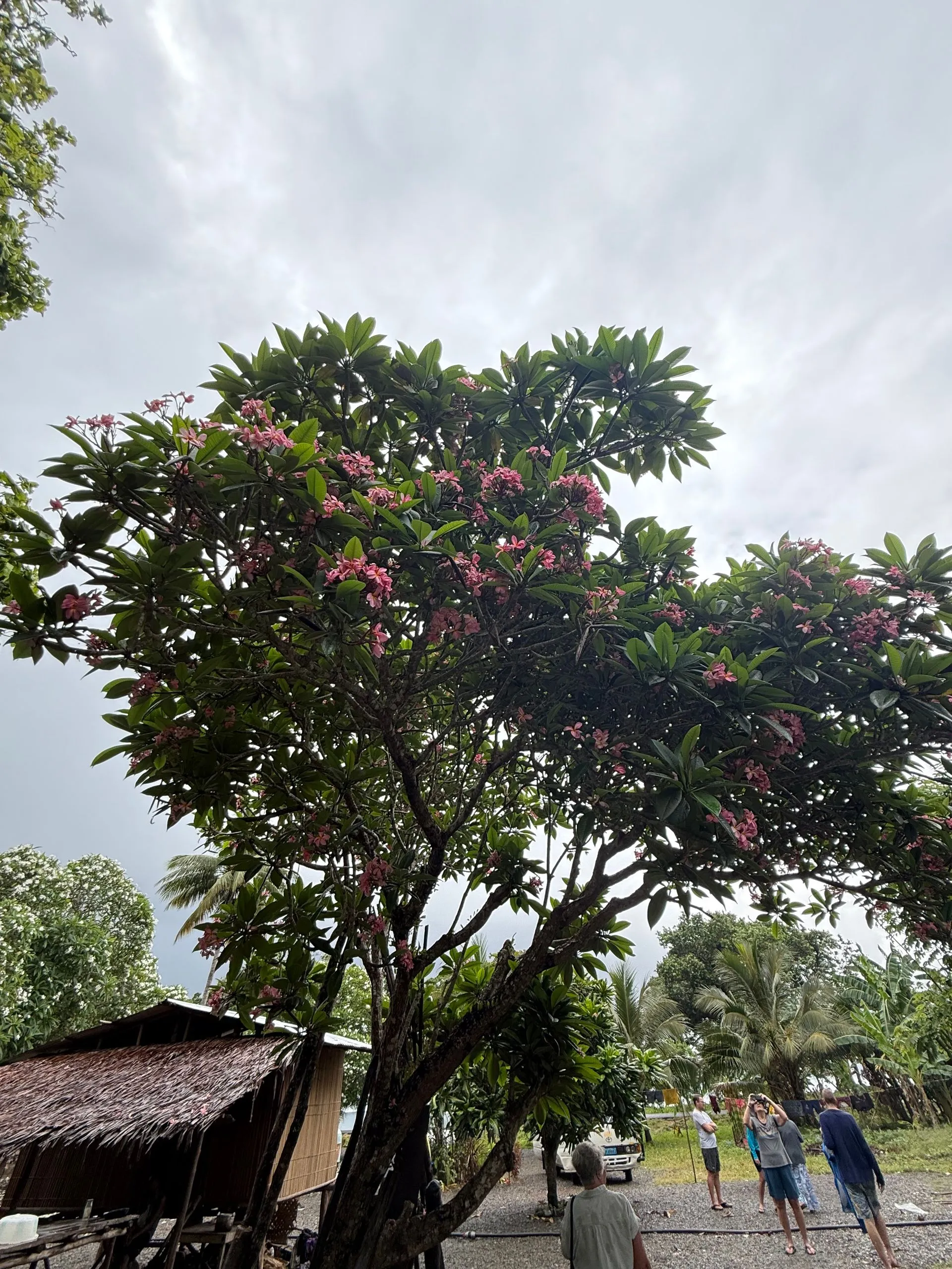 ALOTAU, PAPUA NEW GUINEA