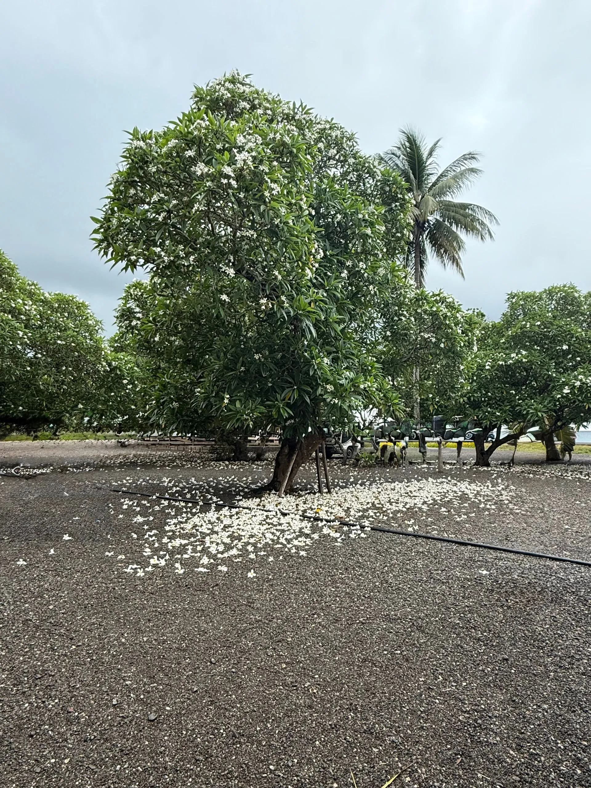 ALOTAU, PAPUA NEW GUINEA