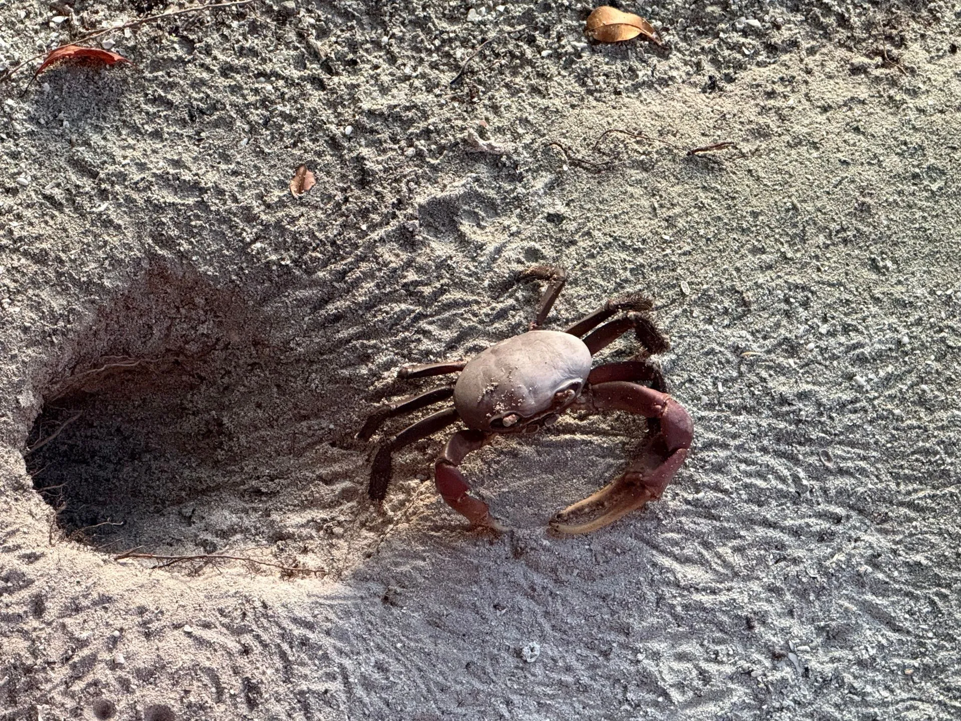 UEPI ISLAND, SOLOMON ISLANDS