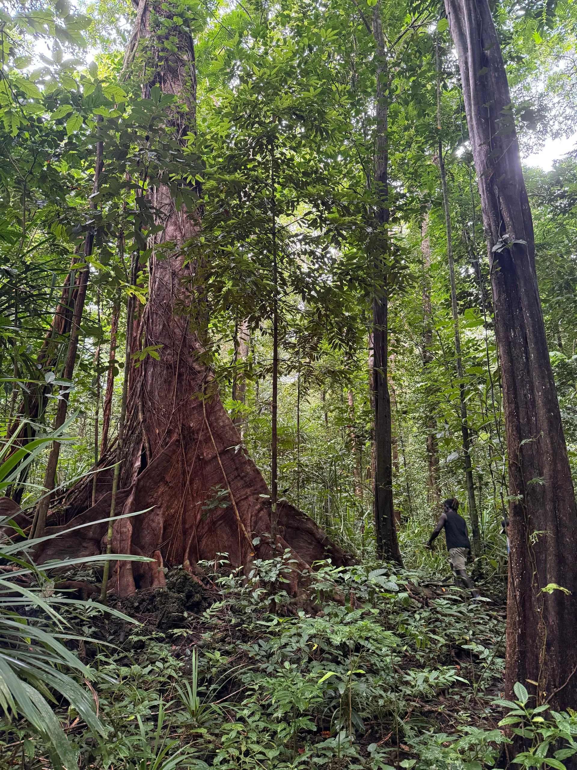 LUGANVILLE, ESPIRITU SANTO, VANUATU