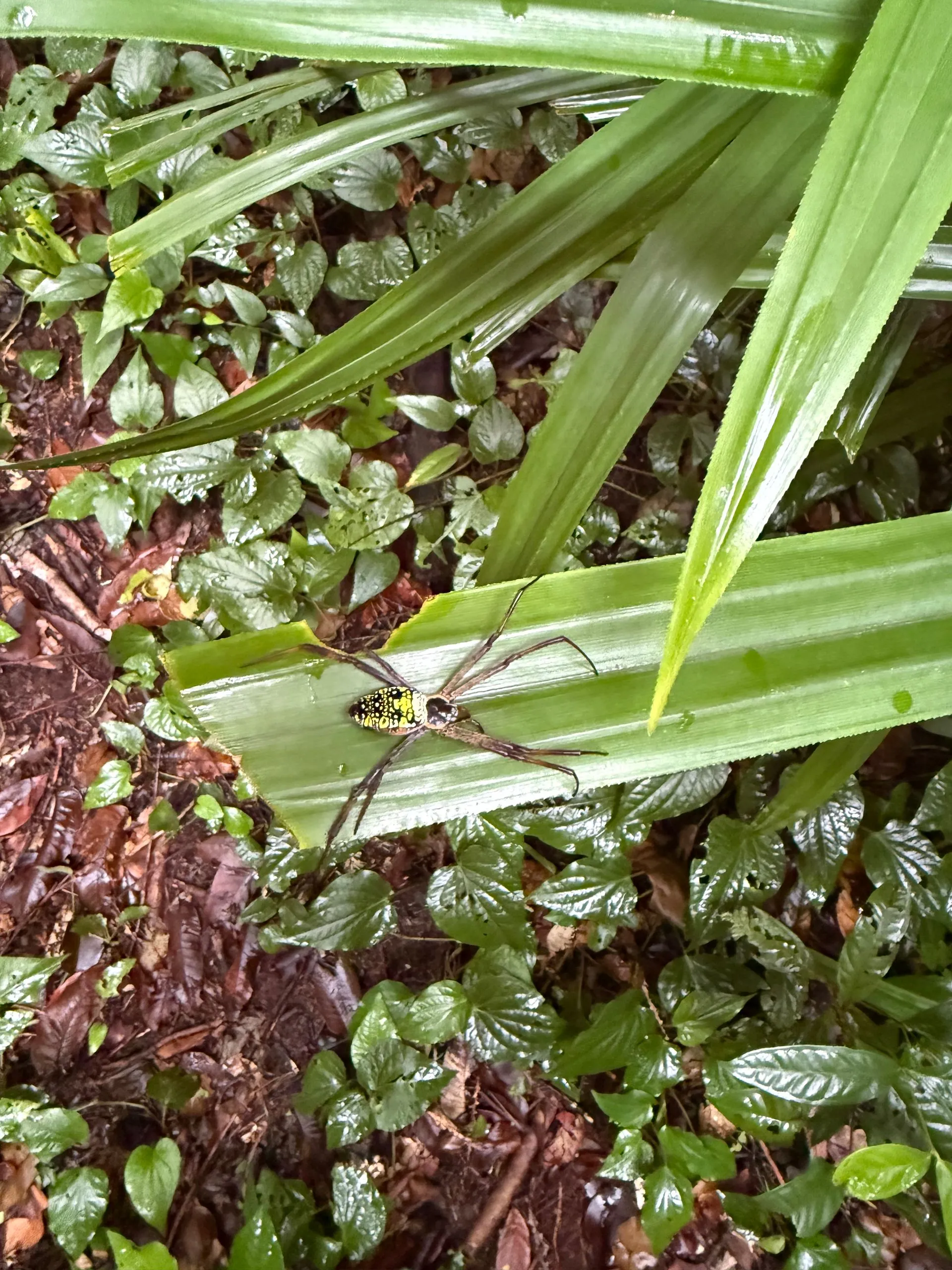 UEPI ISLAND ACTIVITIES