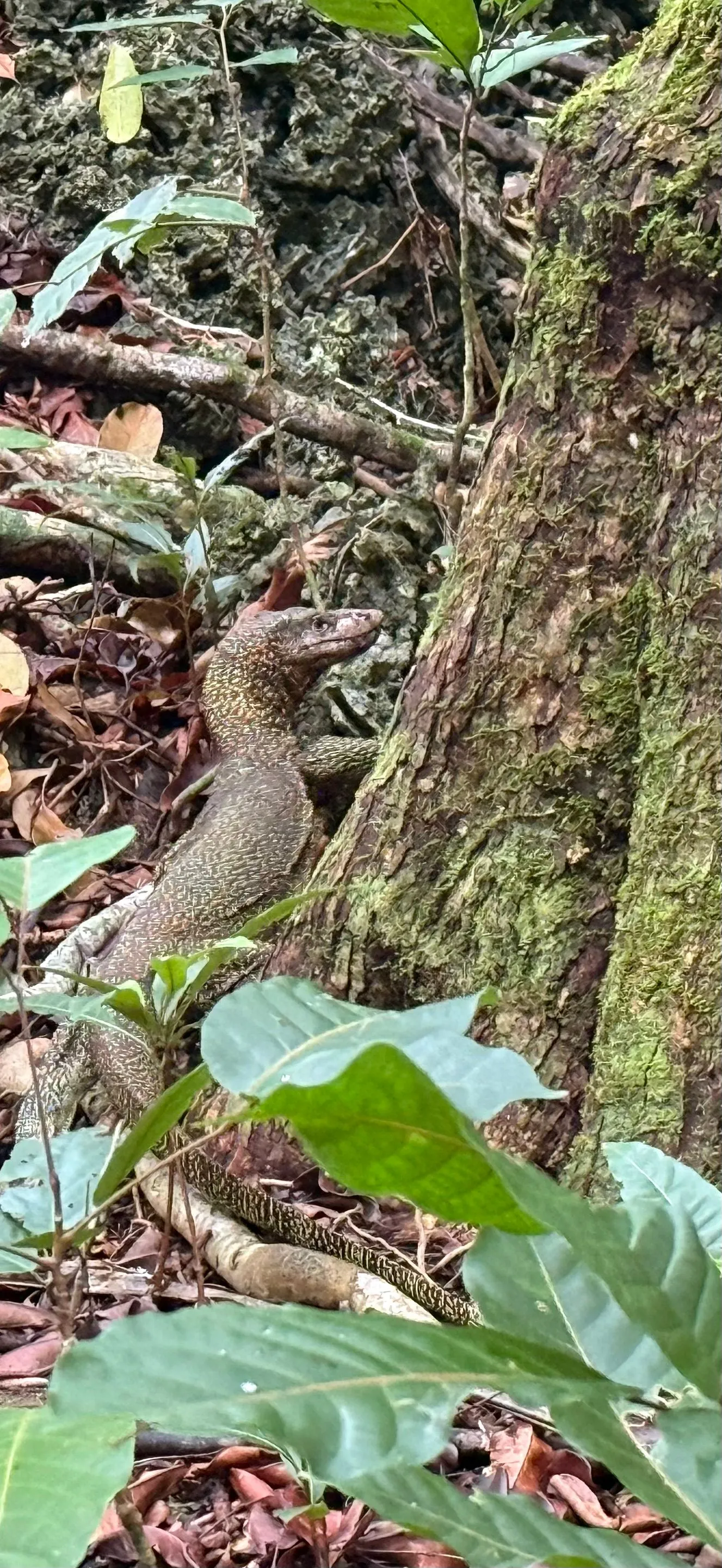 UEPI ISLAND ACTIVITIES
