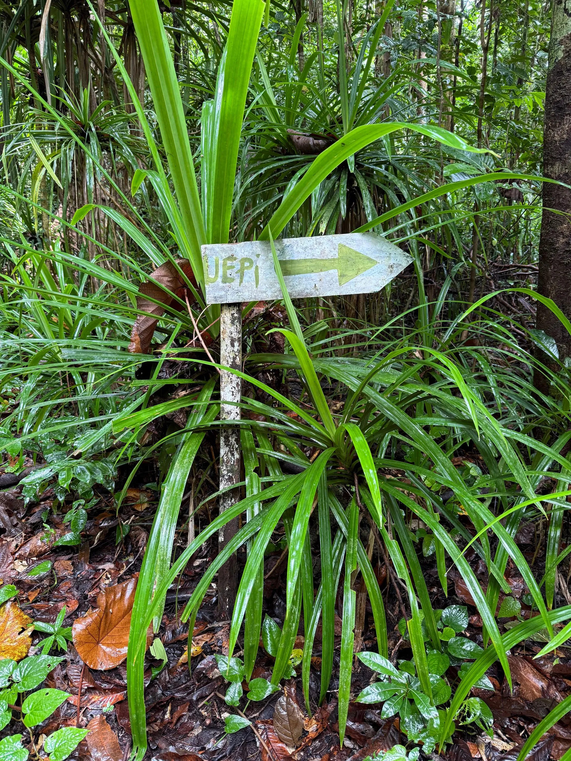 UEPI ISLAND ACTIVITIES