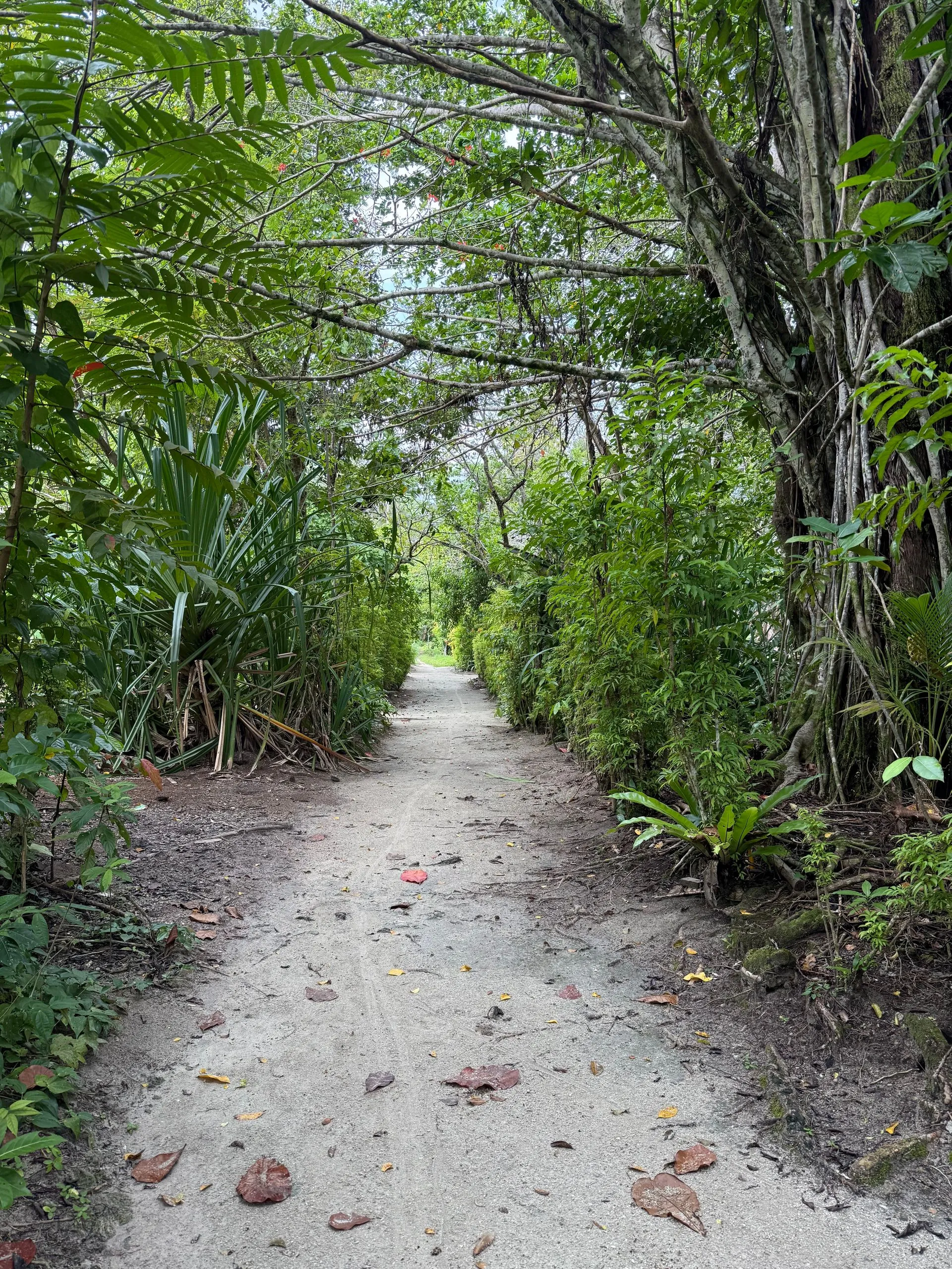UEPI ISLAND, SOLOMON ISLANDS