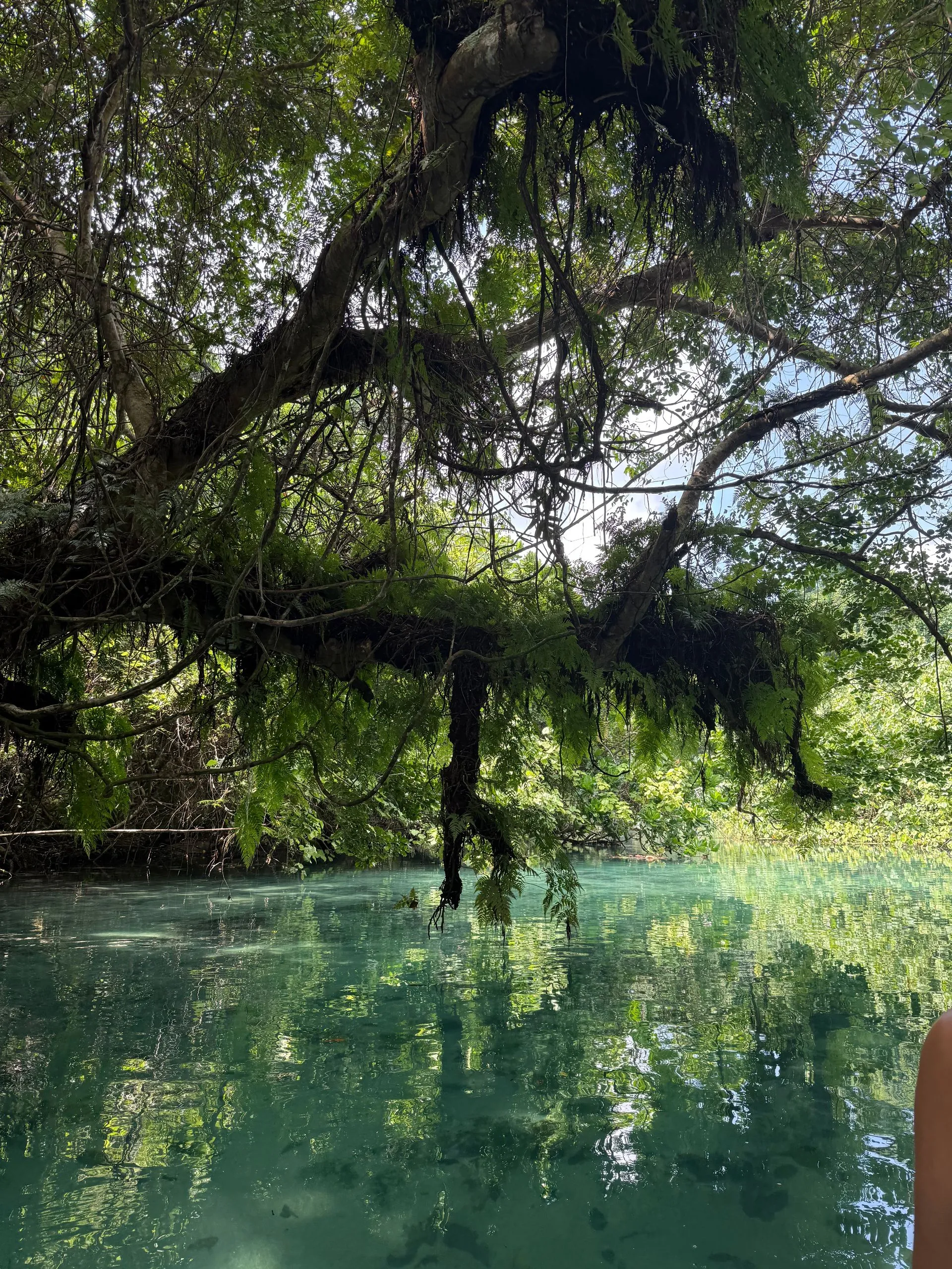 LUGANVILLE, ESPIRITU SANTO, VANUATU