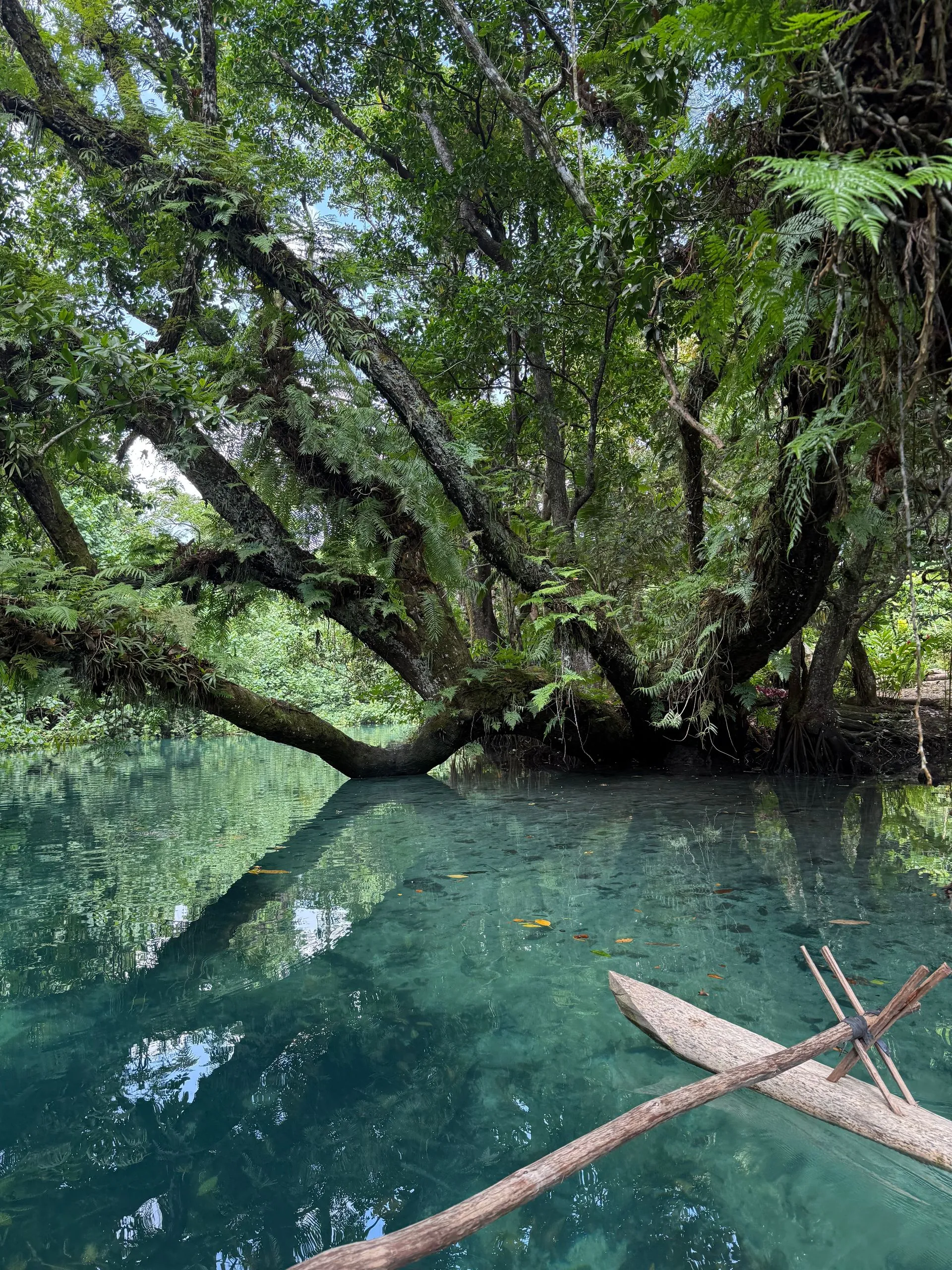LUGANVILLE, ESPIRITU SANTO, VANUATU