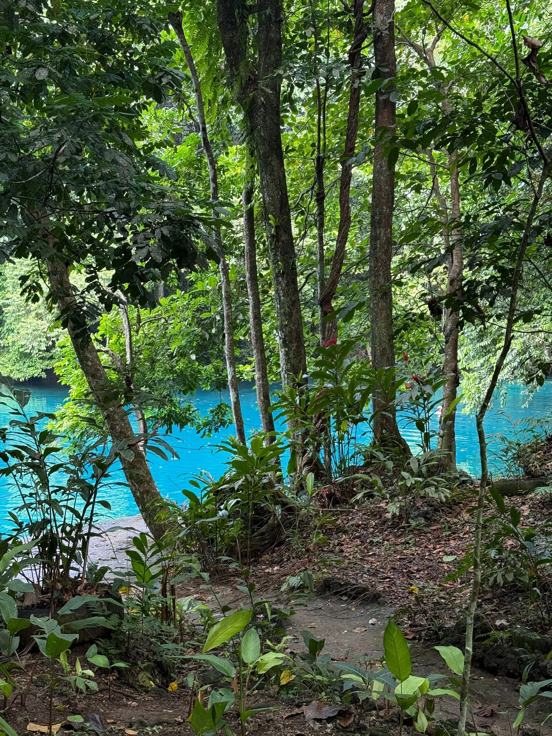 LUGANVILLE, ESPIRITU SANTO, VANUATU