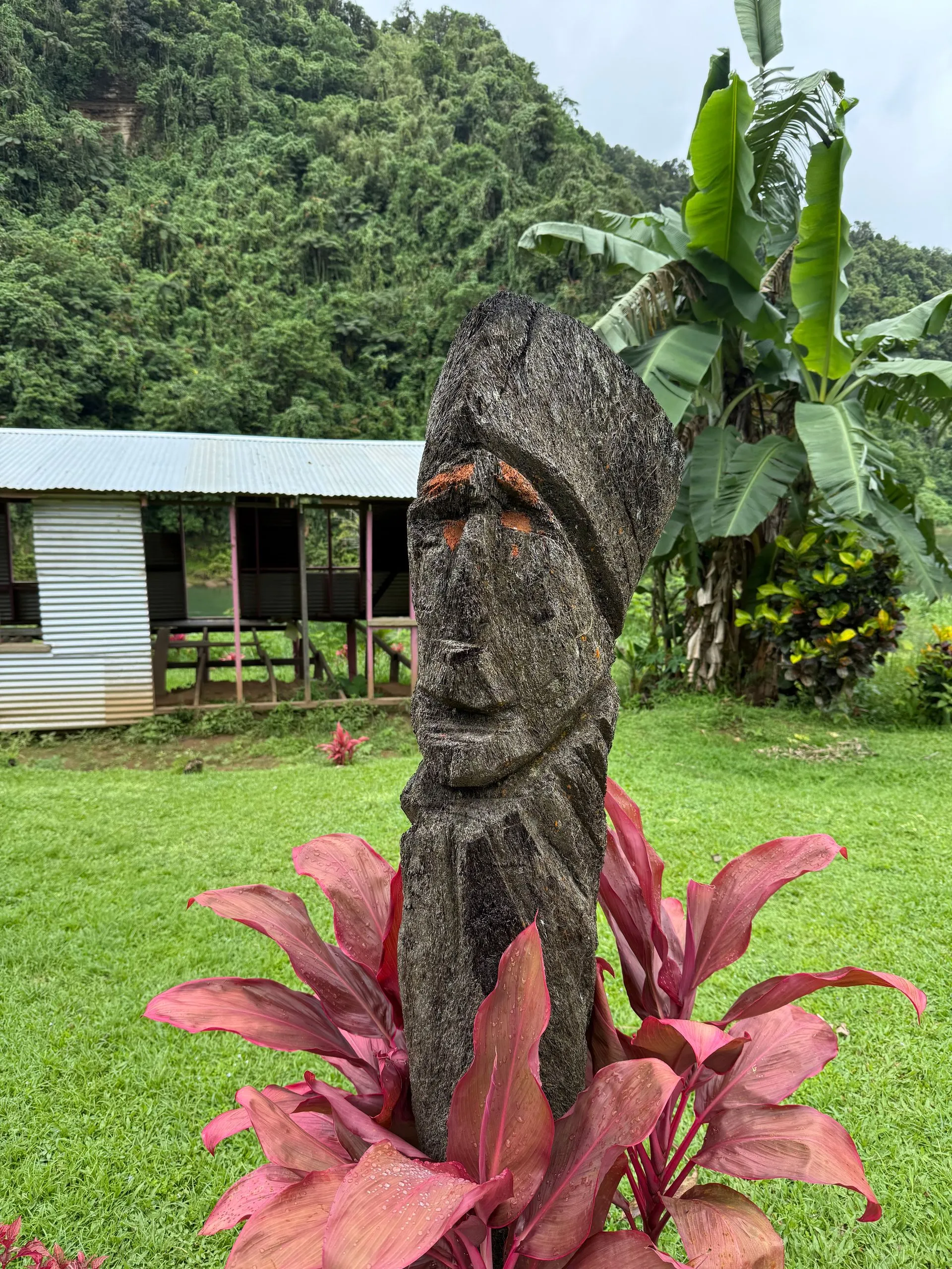 RIVER TUBING DOWN THE NAVUA, SUVA, FIJI