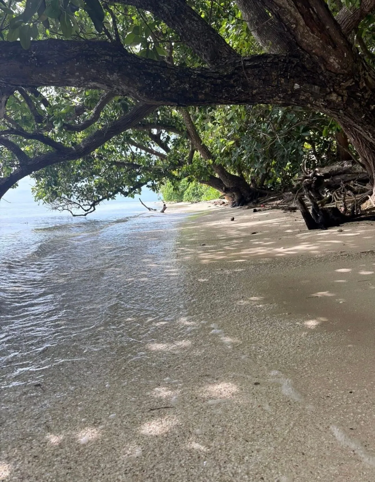 LELEUVIA ISLAND RESORT, FIJI