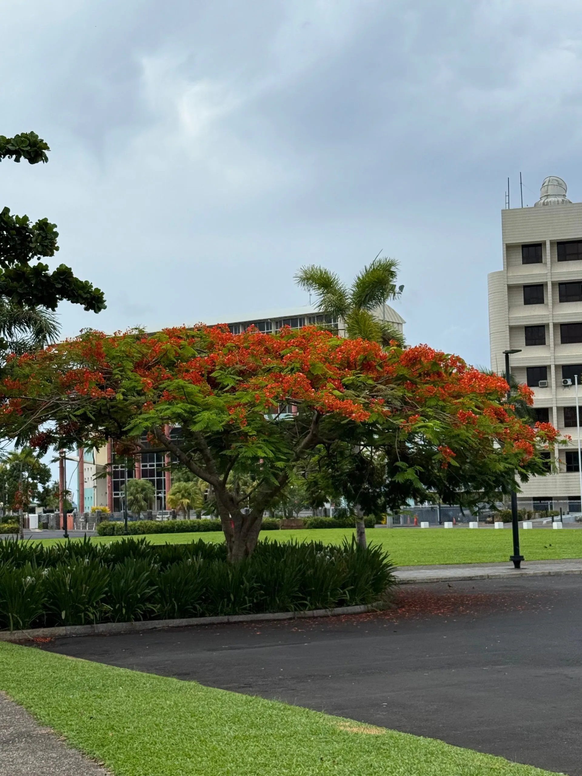 APIA, UPOLU ISLAND, SAMOA