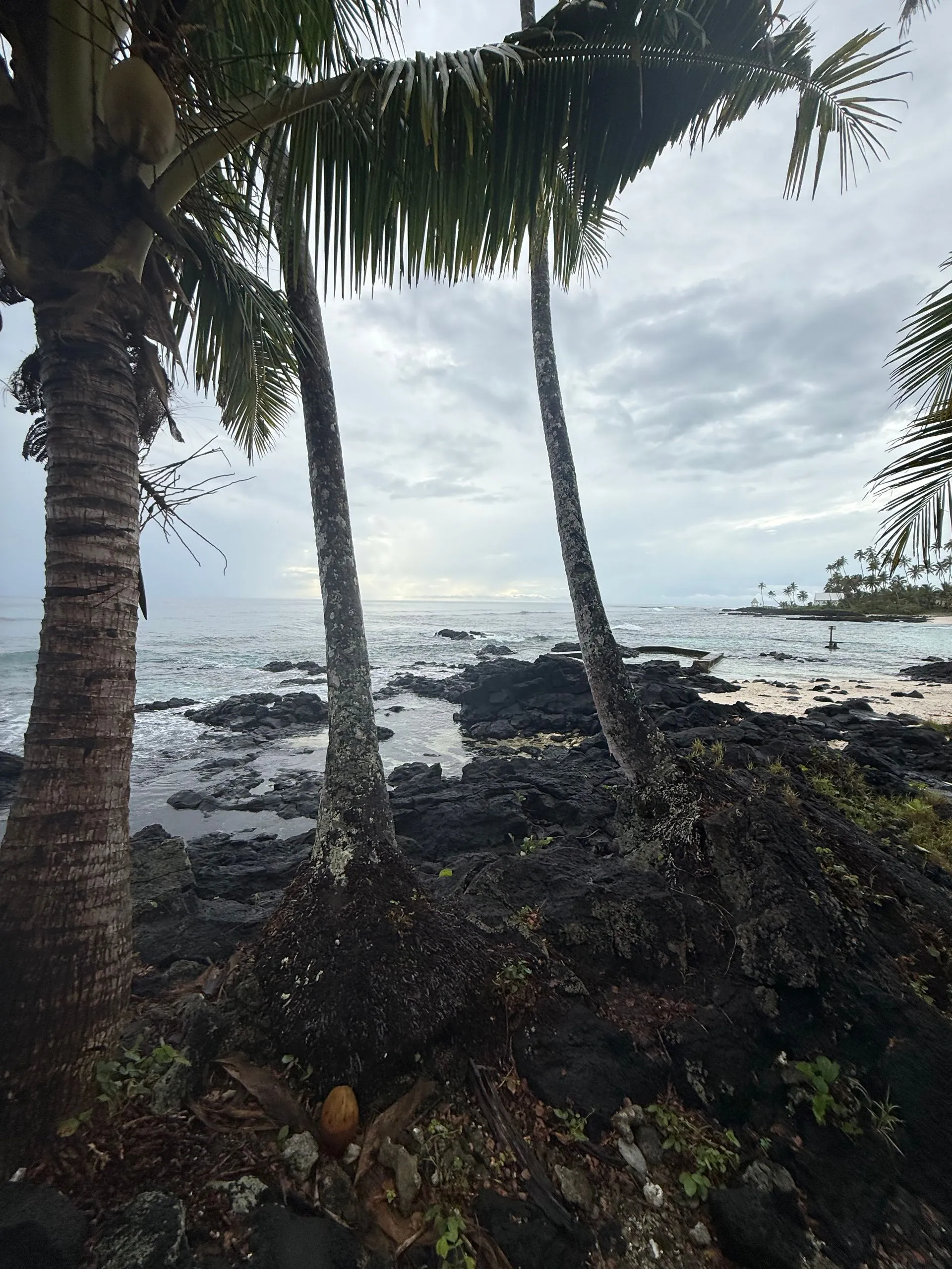 RETURN TO PARADISE RESORT, UPOLU ISLAND, SAMOA