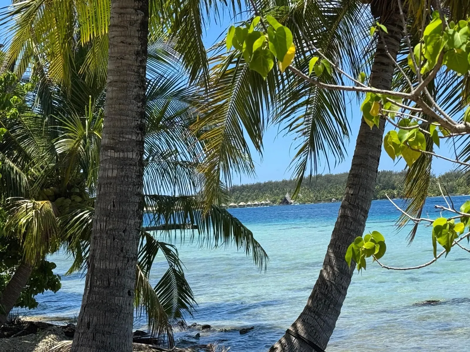 BORA BORA, FRENCH POLYNESIA