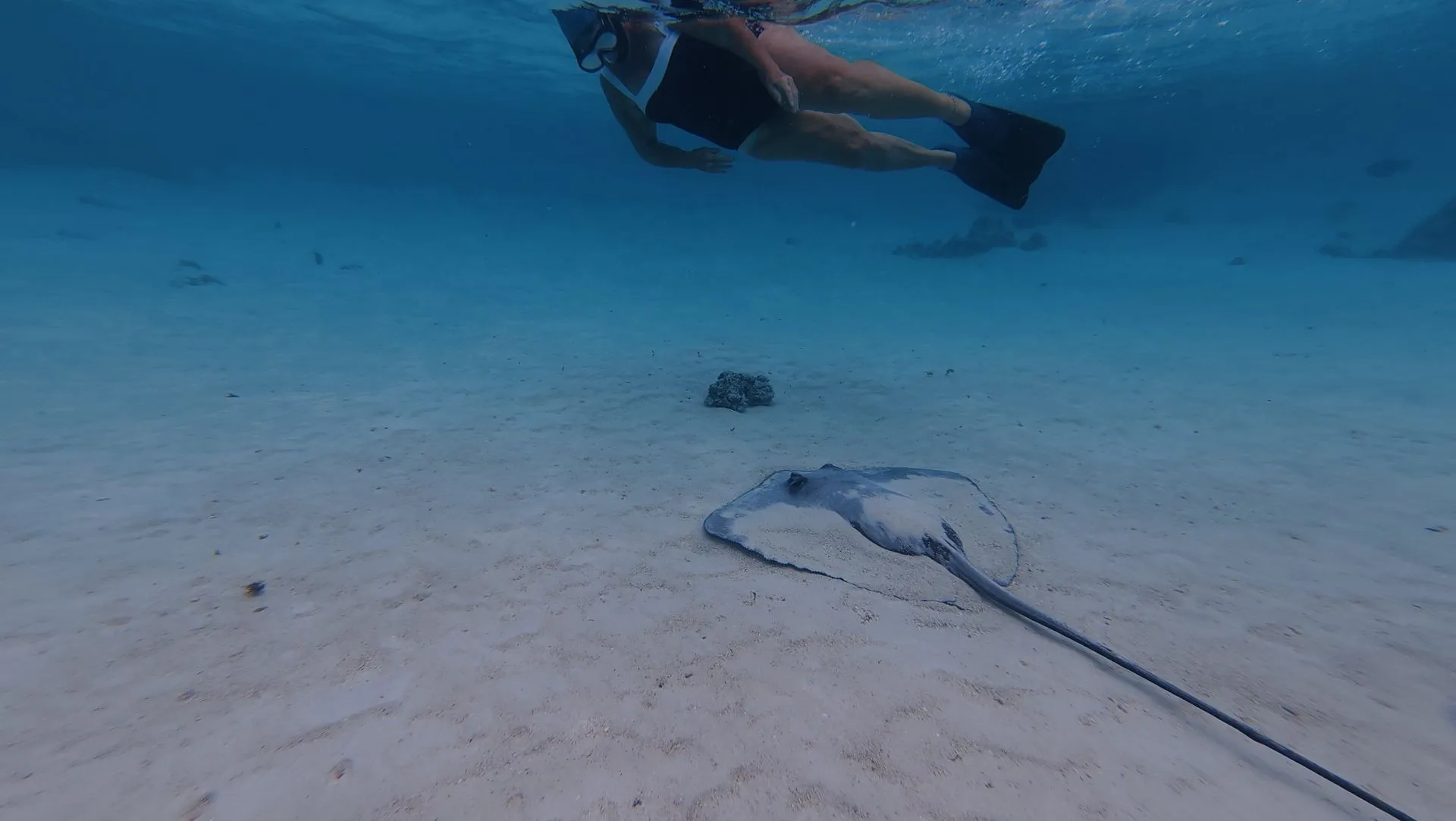 MOOREA,  FRENCH POLYNESIA - SAILING