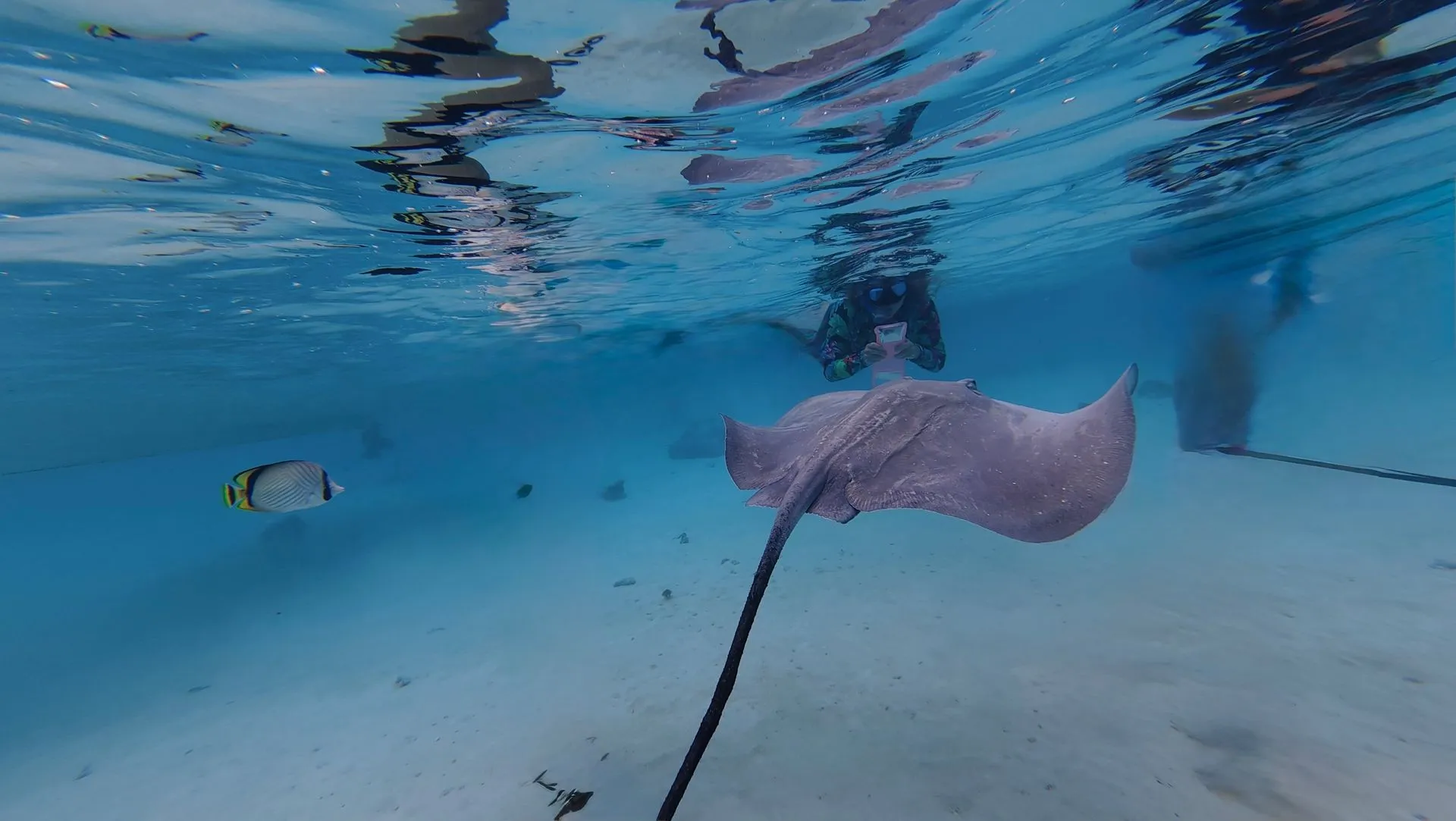 MOOREA,  FRENCH POLYNESIA - SAILING
