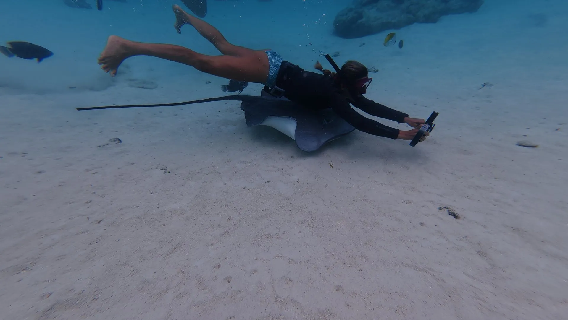 MOOREA,  FRENCH POLYNESIA - SAILING