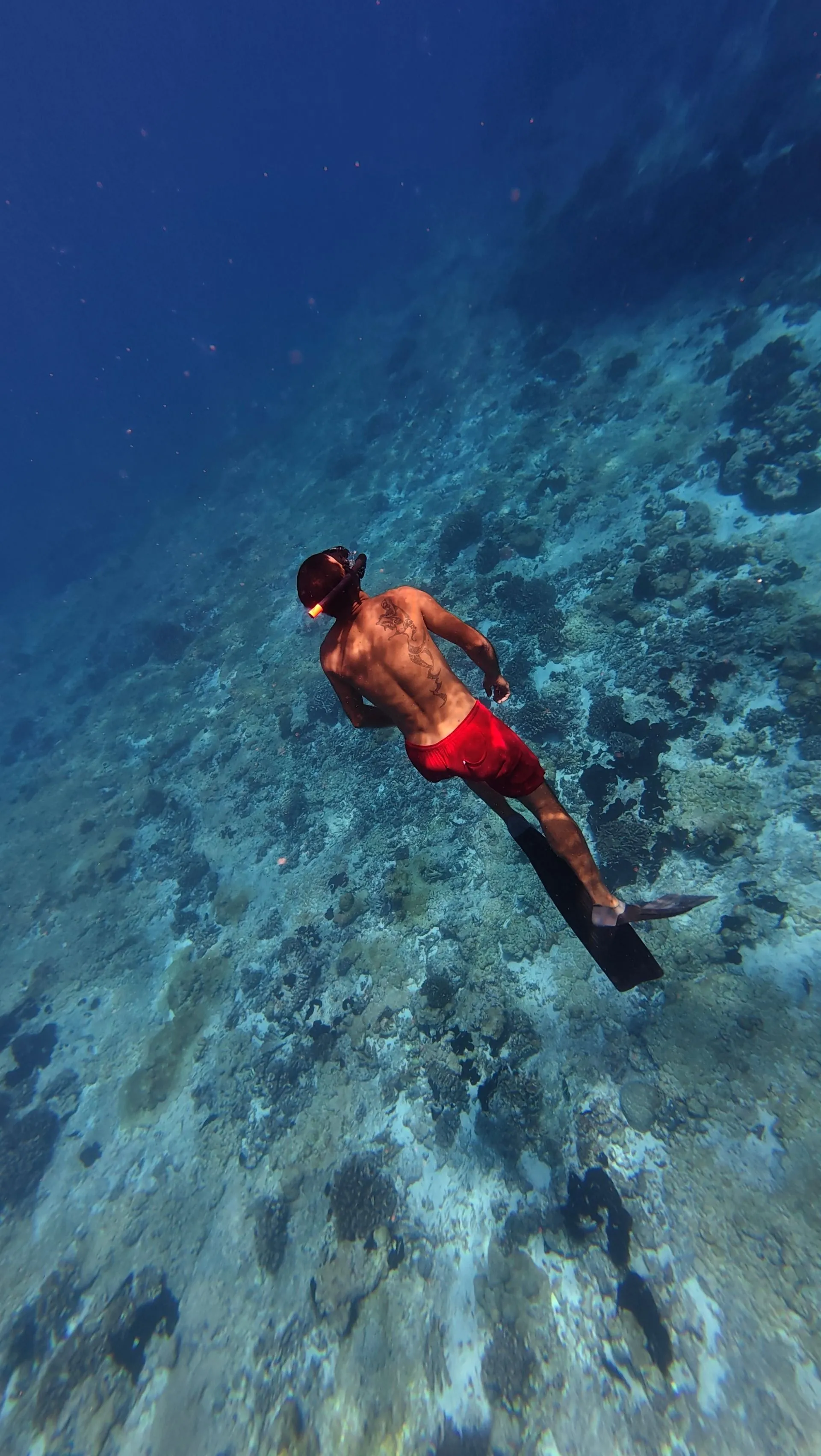 RANGIROA, FRENCH POLYNESIA