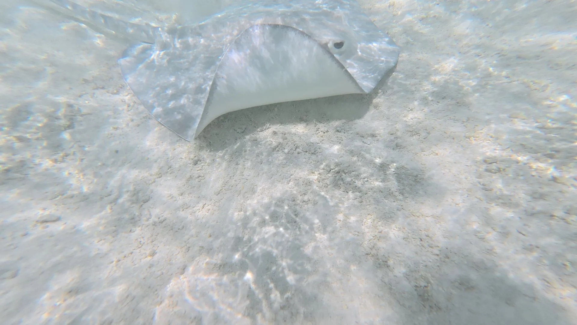 RANGIROA, FRENCH POLYNESIA