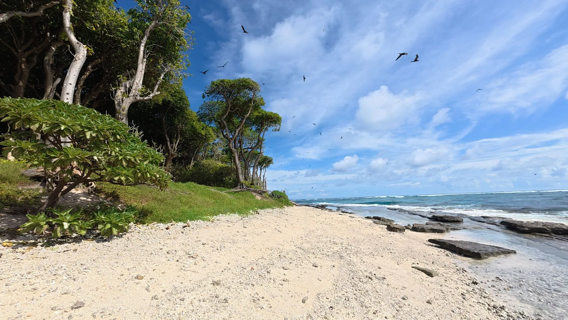 HA'APAI , TONGA - MATAFONUA RESORT