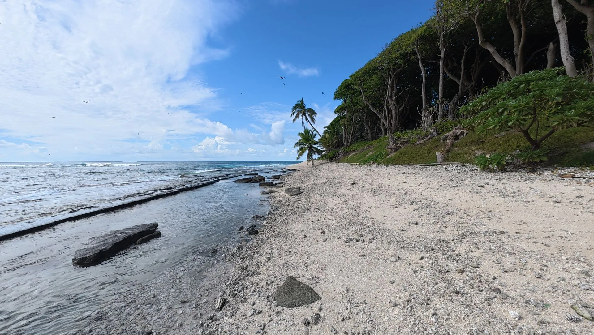HA'APAI , TONGA - MATAFONUA RESORT
