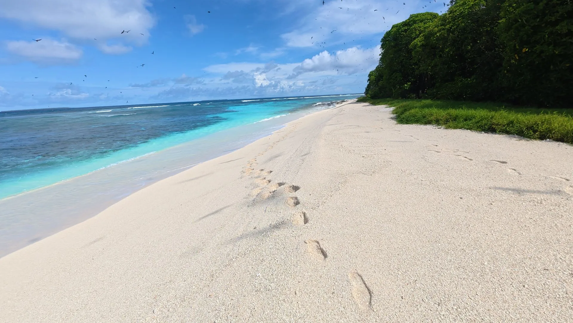 HA'APAI , TONGA - MATAFONUA RESORT